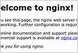 How To Install Nginx on Debian 9 DigitalOcea